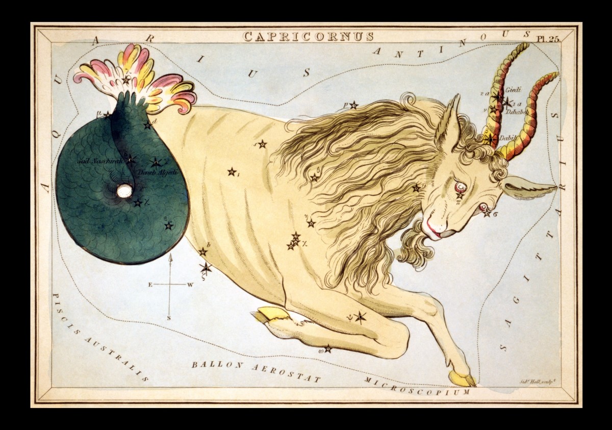 The Sea-Goat is the symbol for Capricorn.