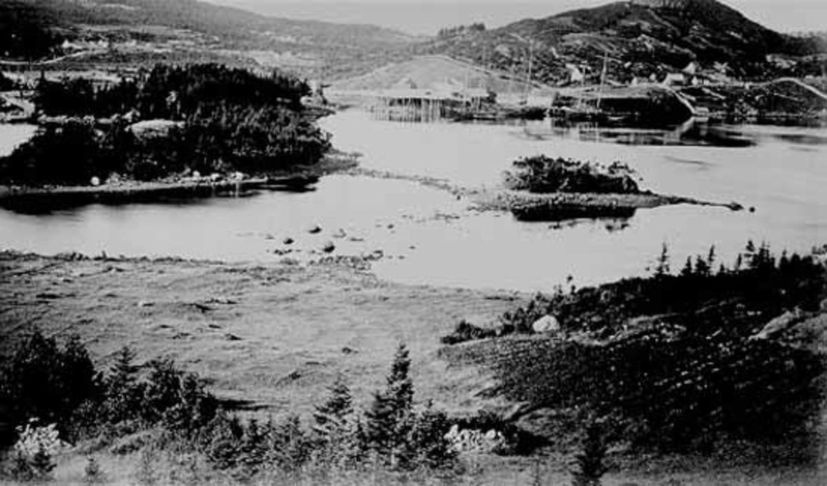 鲑鱼湾,纽芬兰,大约1900年
