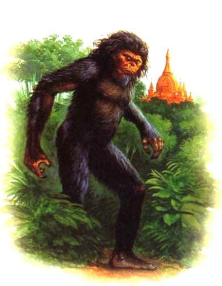 Wartime Mystery The Rock Apes Of Vietnam HubPages