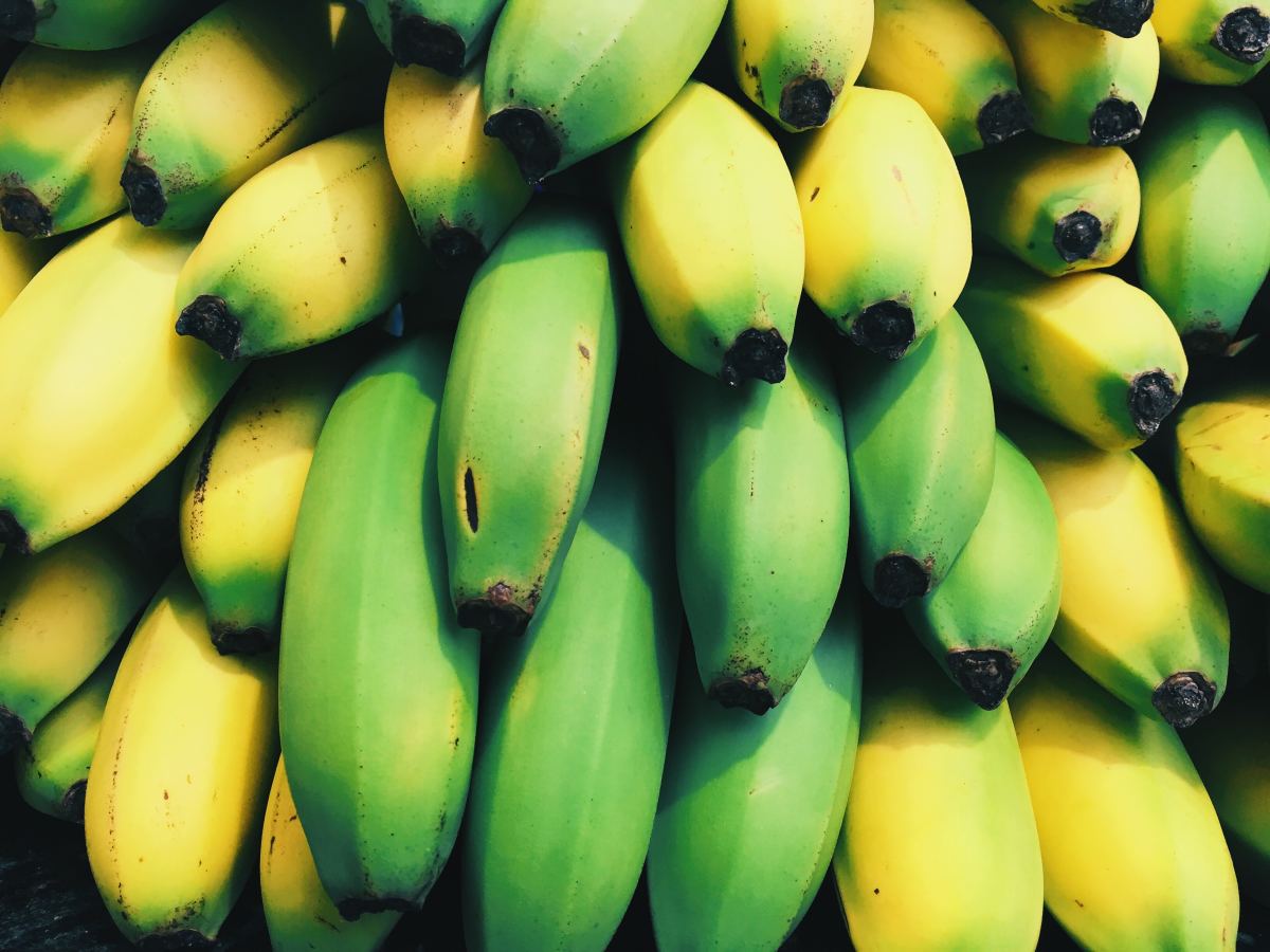 香蕉携带着男性的能量。