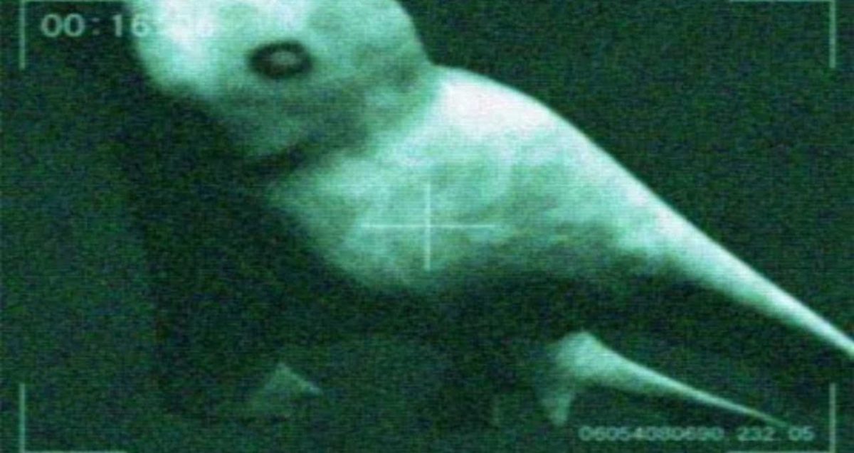 A supposed image of the Ningen.