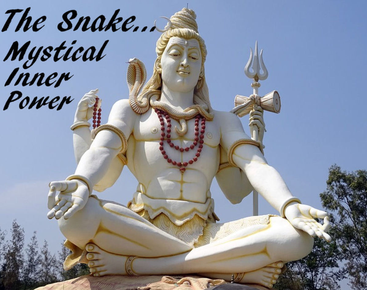 印度教湿婆雕像蛇的智慧