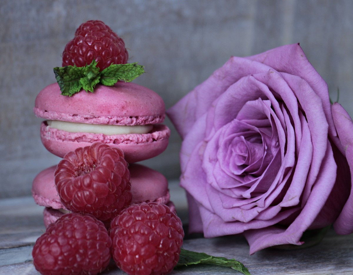 What Do Pink Roses Mean In A Dream At Tony Jennings Blog