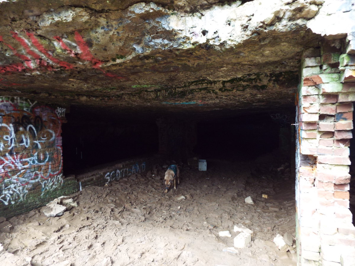 Haunted Kentucky Sauerkraut Cave and the History of Lakeland Asylum