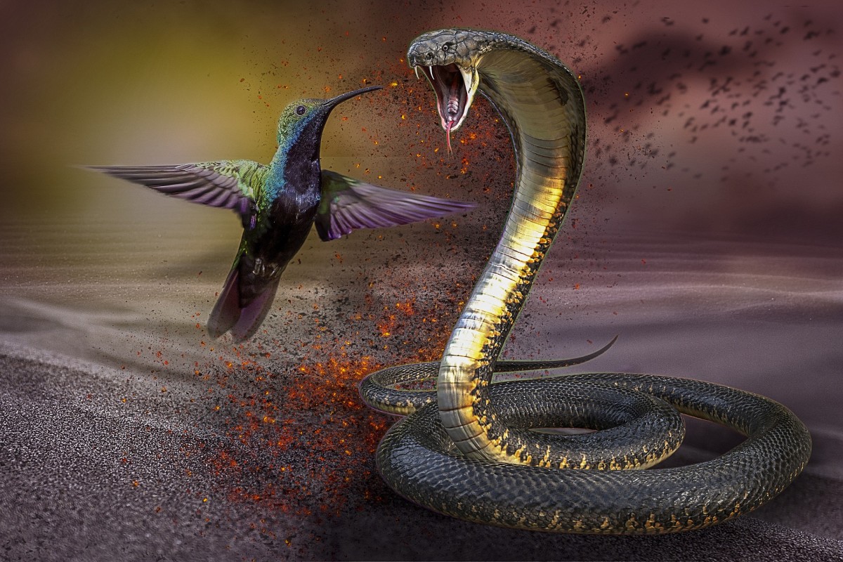 超心理学家说，梦里的蛇代表我们不信任的人。