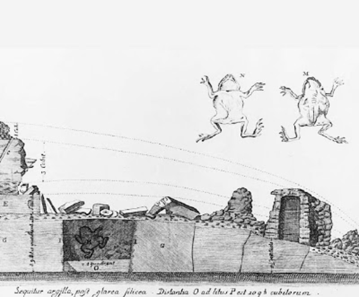 Gråberg的青蛙草图和它被发现的采石场。