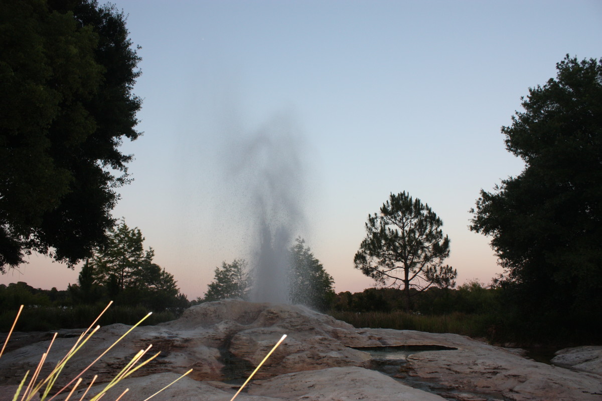 Geyser at Wilderness Ldoge at sunset