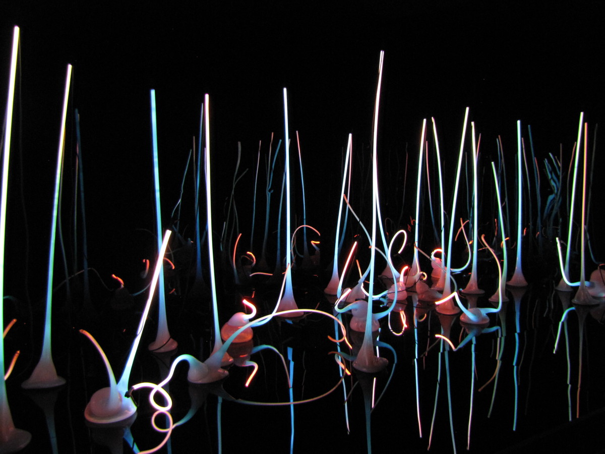 visiting-the-chihuly-garden-and-glass-at-the-seattle-center