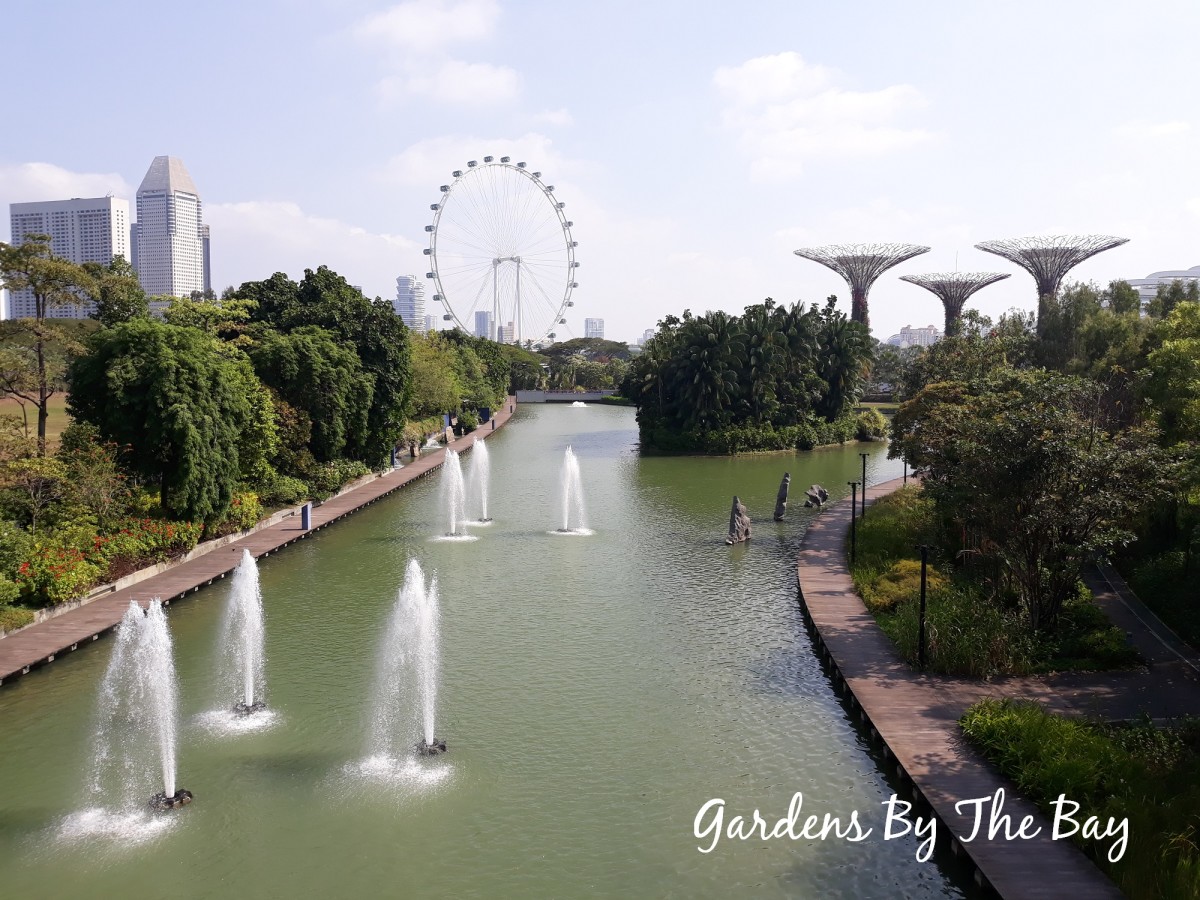 View of the serene Dragonfly Lake at Gardens By The Bay with the gigantic Singapore Flyer in the distance.