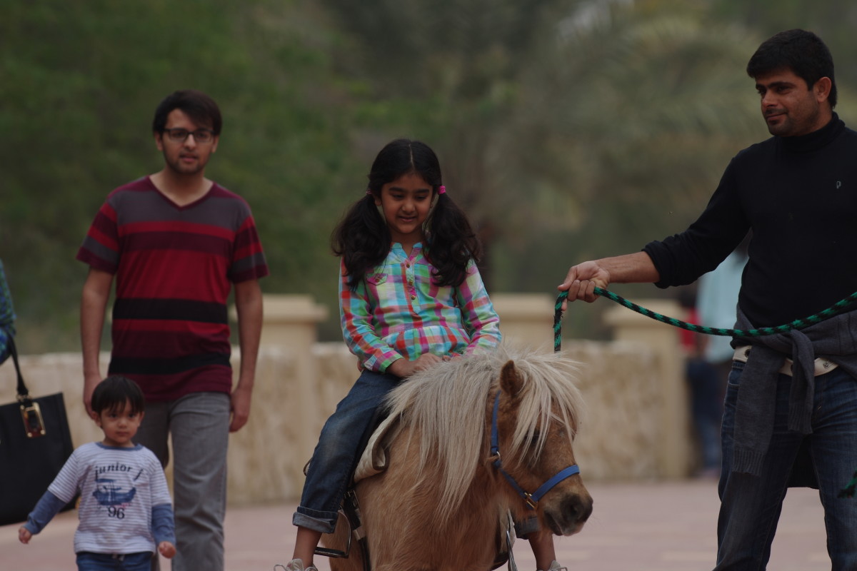 Pony ride is quite popular with children (January 2016).