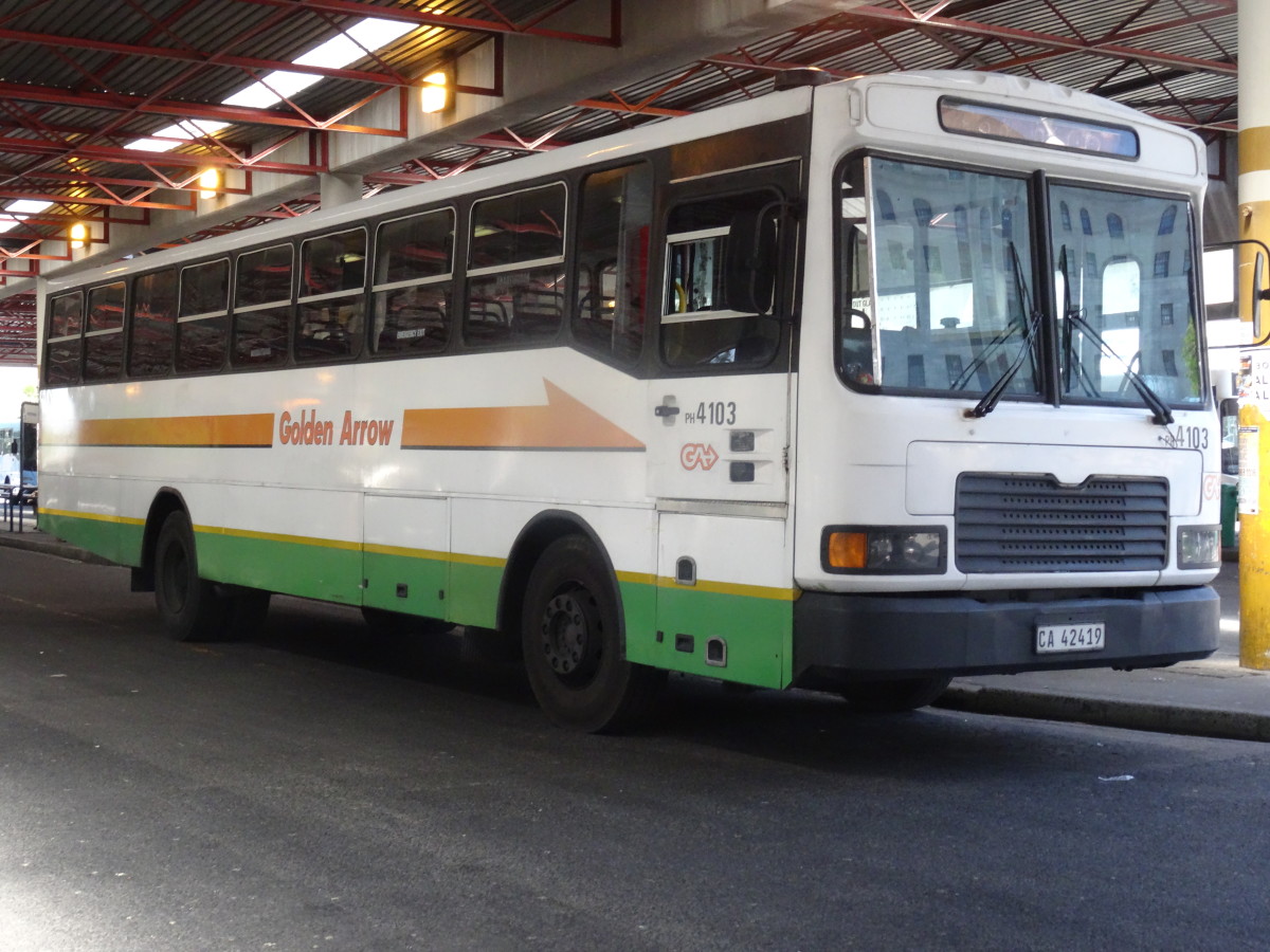 All Golden Arrow buses look like this.