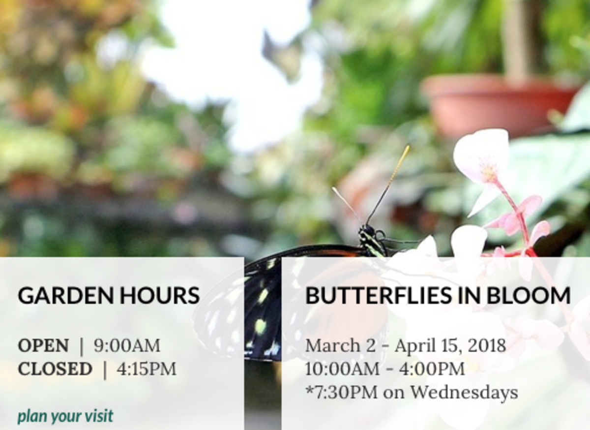 Butterfly Exhibit Dow Gardens in Midland Michigan WanderWisdom