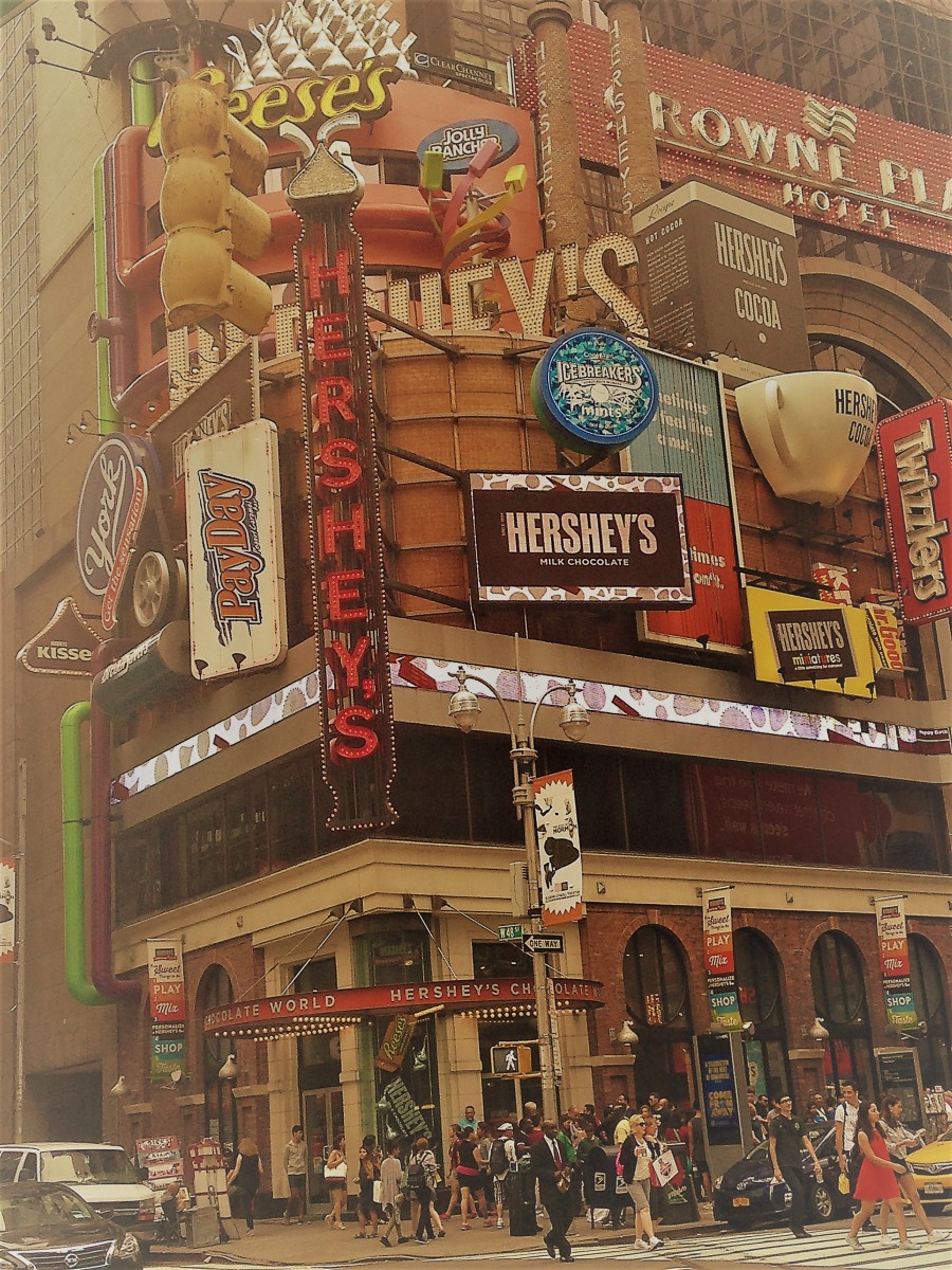 A Guide To The Best Shopping In Times Square NYC WanderWisdom