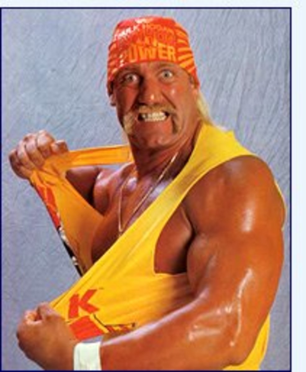 Hulk Hogan was the biggest pro wrestling star of the 1980s.