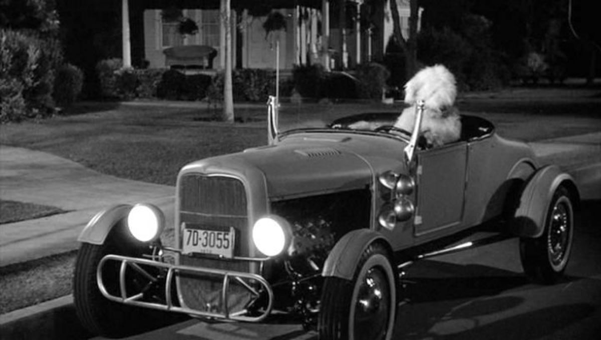 Film Review The Shaggy Dog (1959) HubPages
