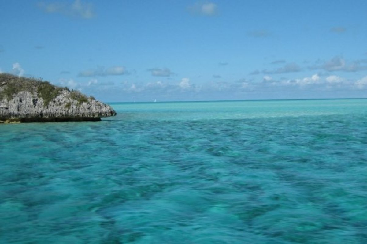 My Bahamas Photo Journal: Exuma Islands Adventure Tour - WanderWisdom