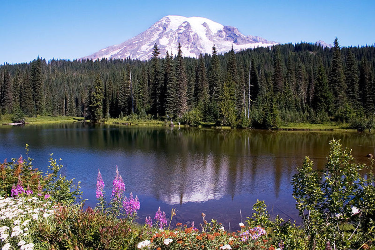 Mount Rainier National Park, WA by Rail