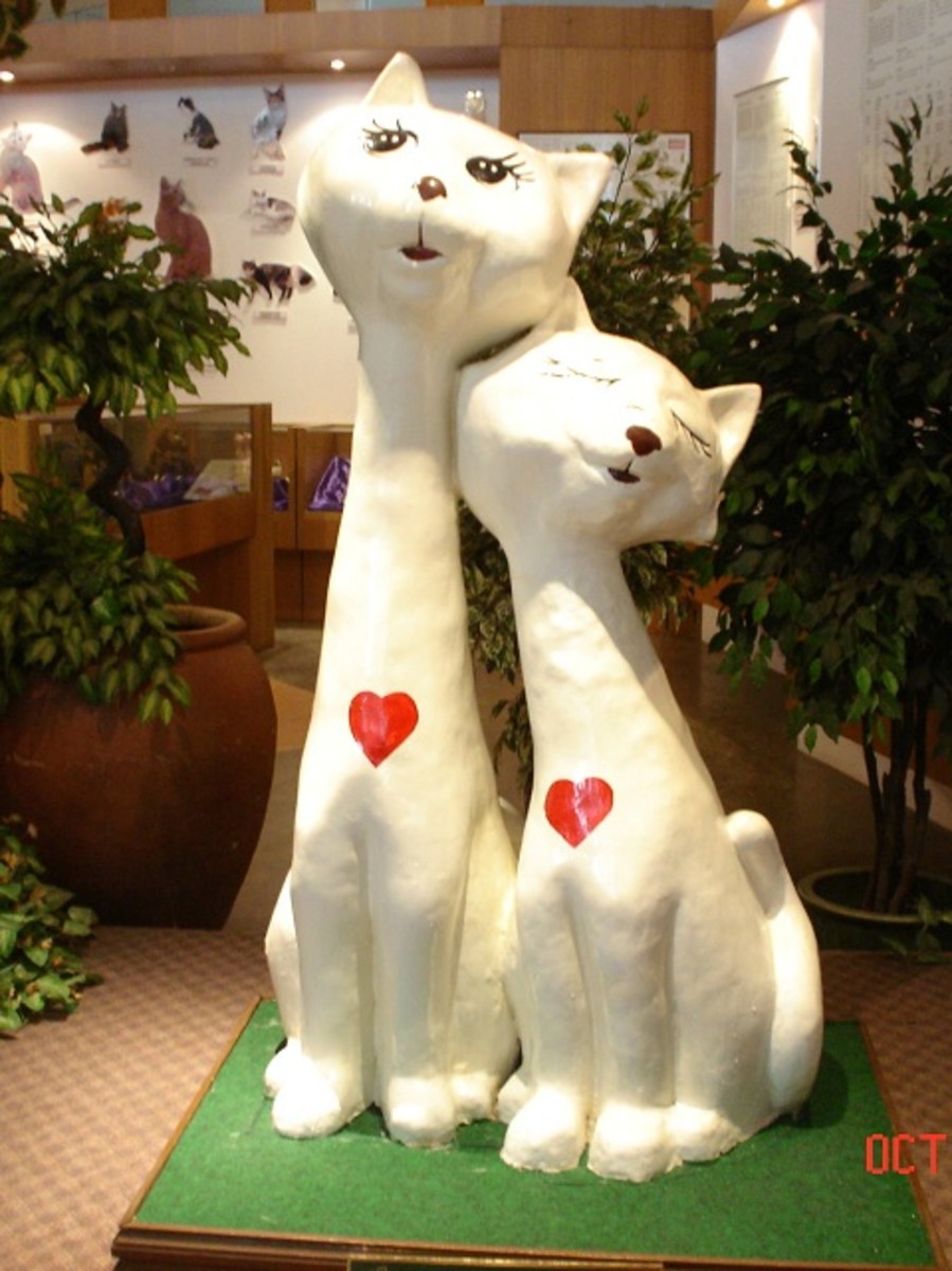 Love cats at the entrance of the Cat Museum.