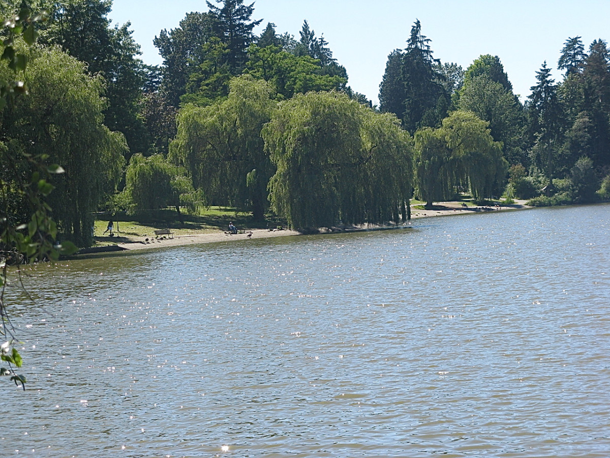 Lost Lagoon Lost Lagoon