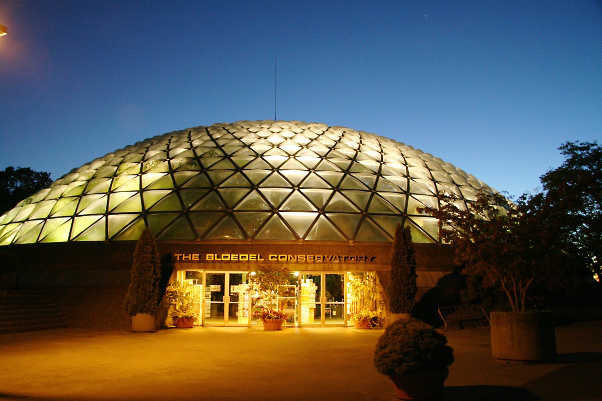 The conservatory at night