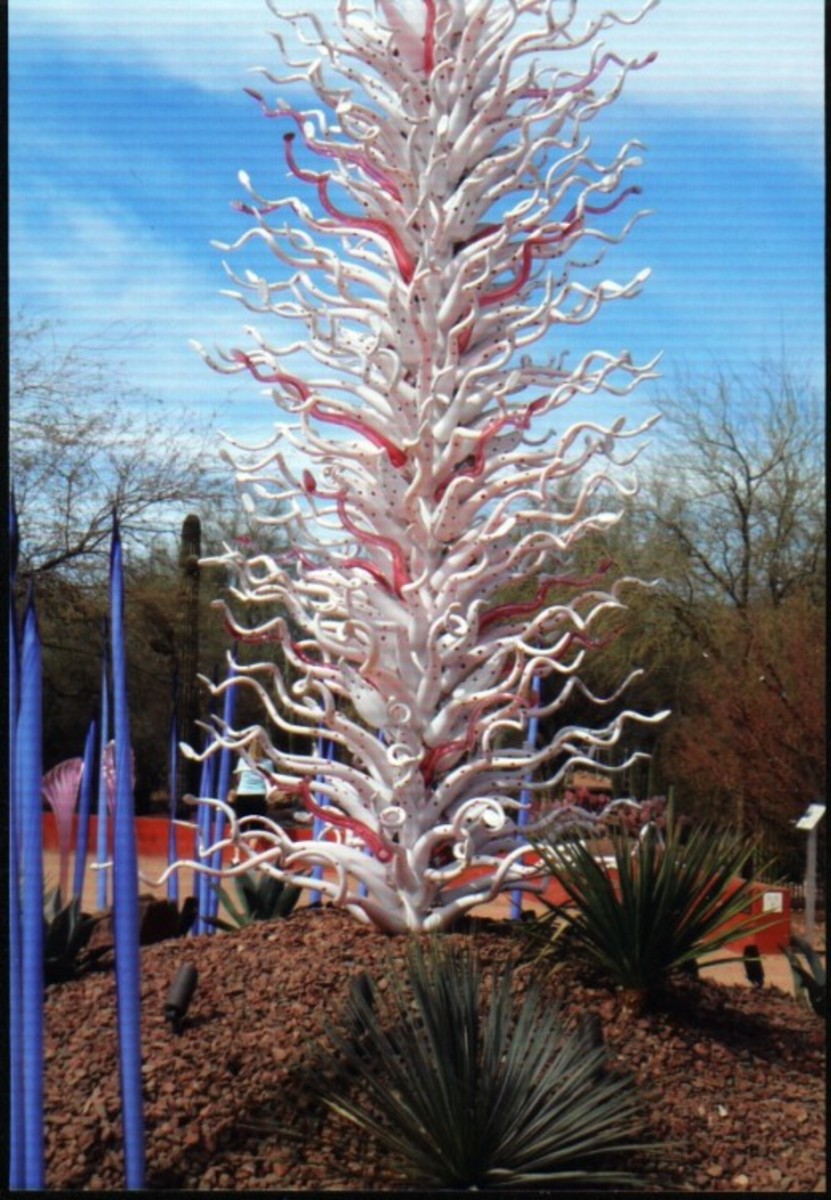This beauty is in the Boppart Courtyard near the Sybil B. Harrington Cactus and Succulent Galleries This beauty is in the Boppart Courtyard near the Sybil B. Harrington Cactus and Succulent Galleries