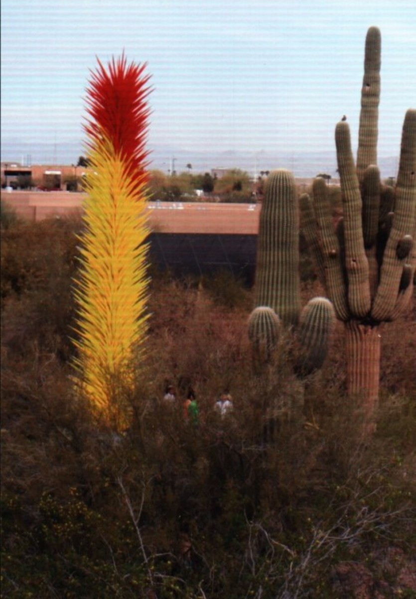 Saguaros, Chihuly glass, and gazing people