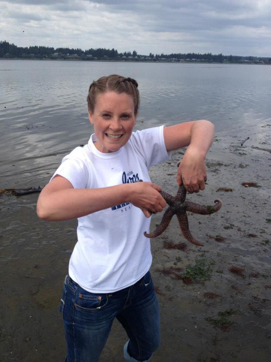 Burfoot Park is a great place to see starfish, sand dollars, crabs, geoducks, and many other types of wildlife when there is a low tide.