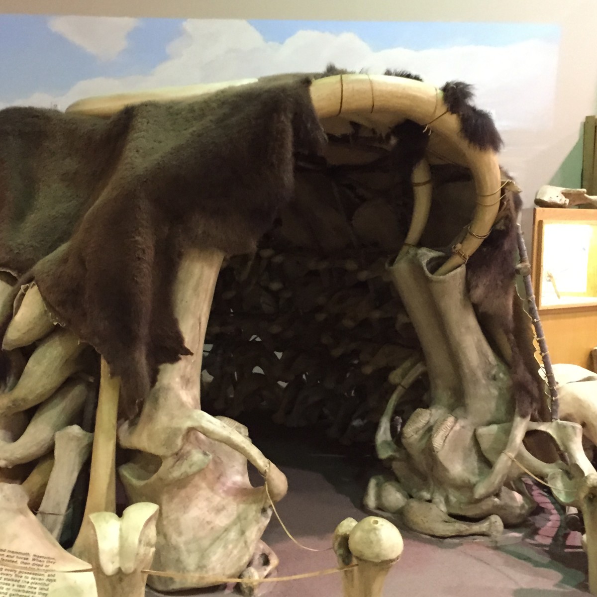 This bone shelter is an example of how early humans used mammoths for survival.
