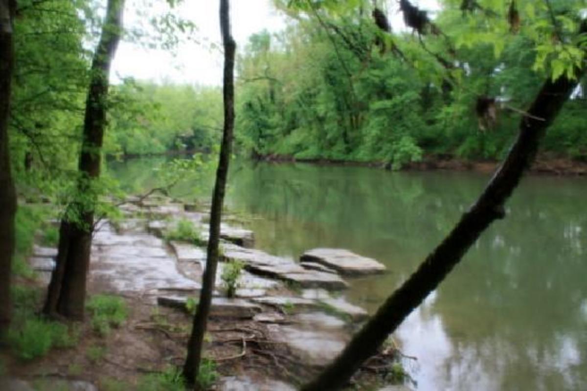 10 of the Best State Parks in Tennessee Everyone Should Visit