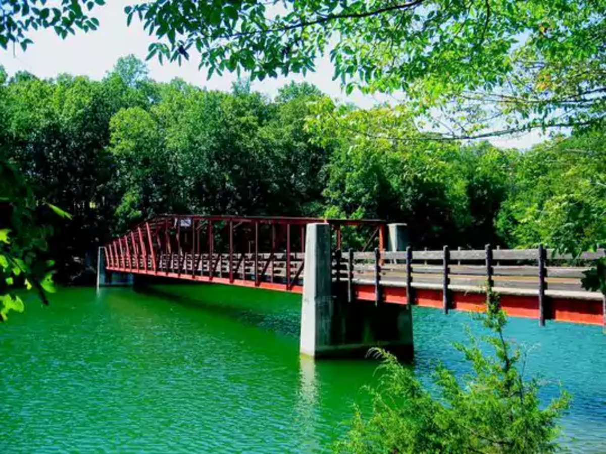 10 of the Best State Parks in Tennessee Everyone Should Visit