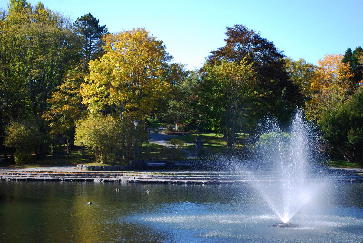 Looking Across the Duck Pond, in the Park's East End, to Where the Peter Pan Statue Stands at the Water's Edge