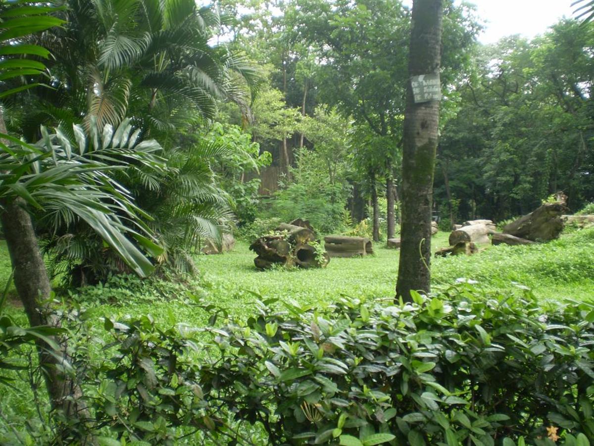Much of the natural beauty of the Philippines is preserved in the parks.