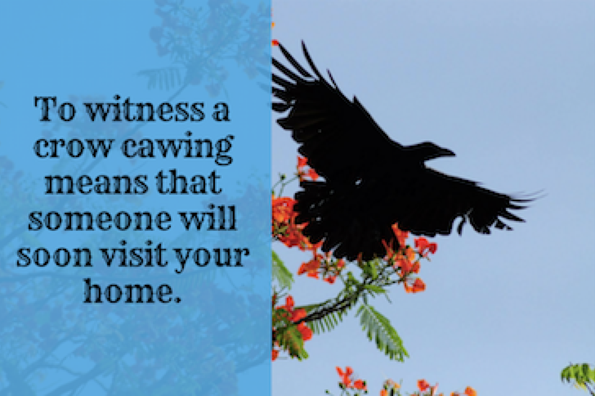 Indian Superstitions, Beliefs, and Hindu Astrology - Exemplore