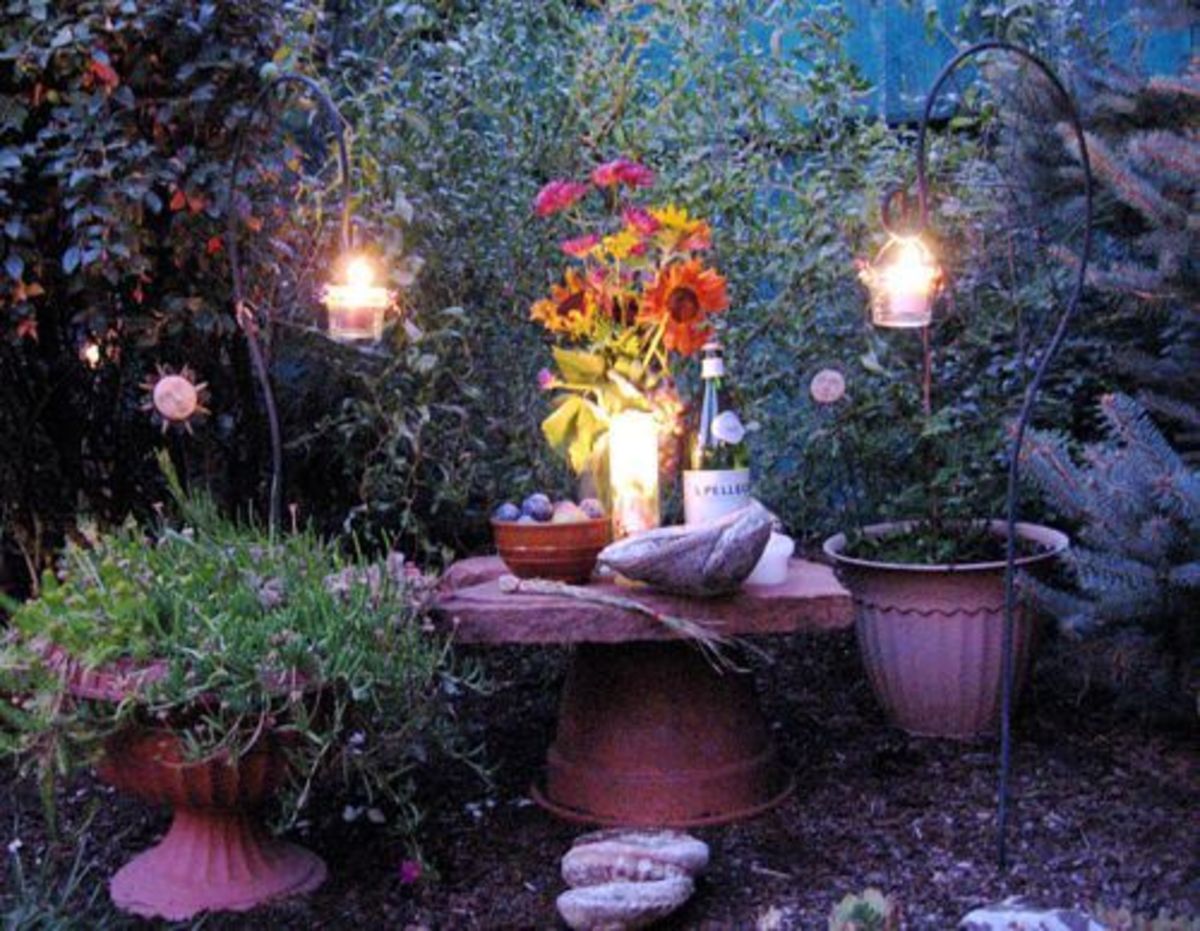 how-to-create-a-witchs-garden
