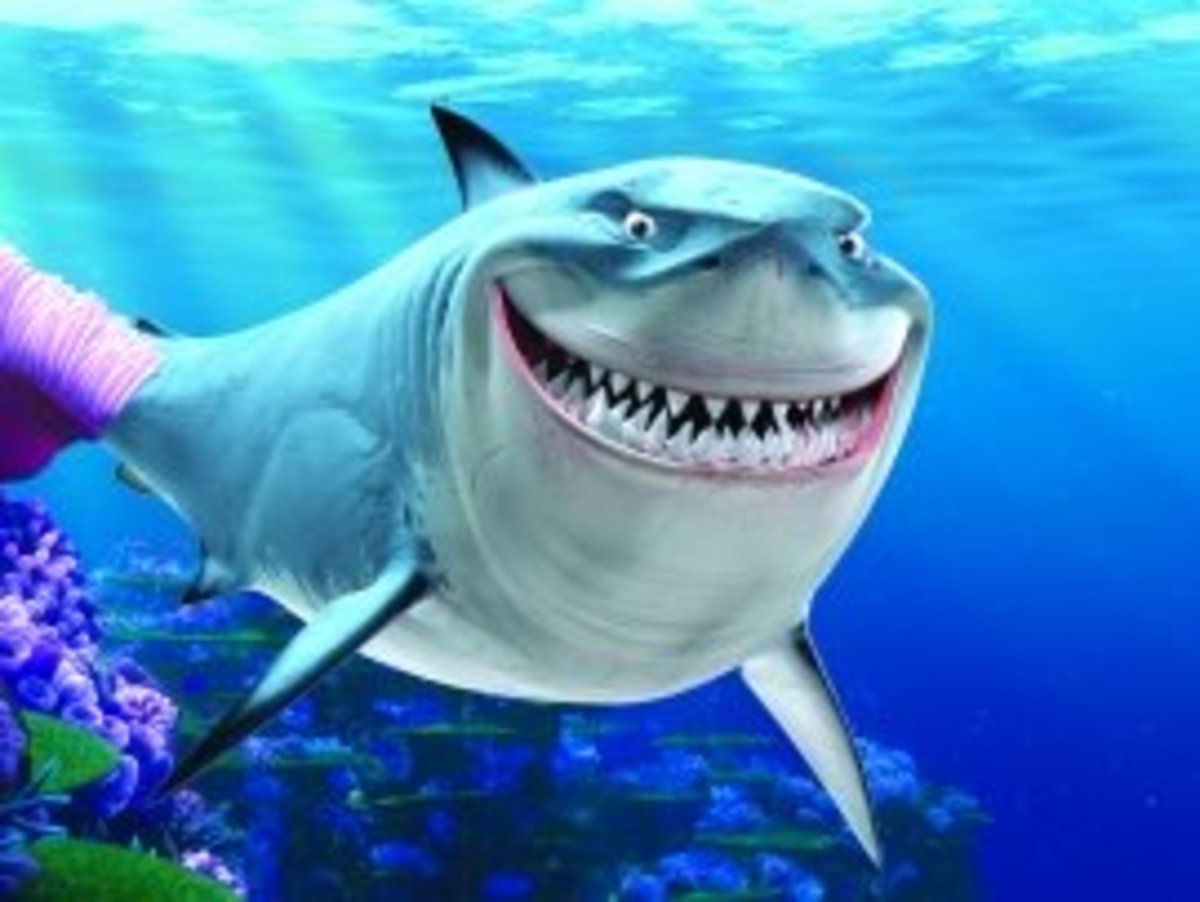 Bruce Finding Nemo Evil