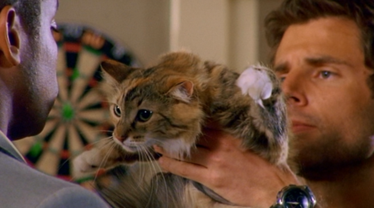 In conclusion, here is a picture of Shawn Spencer holding an adorable cat. Your argument is invalid.