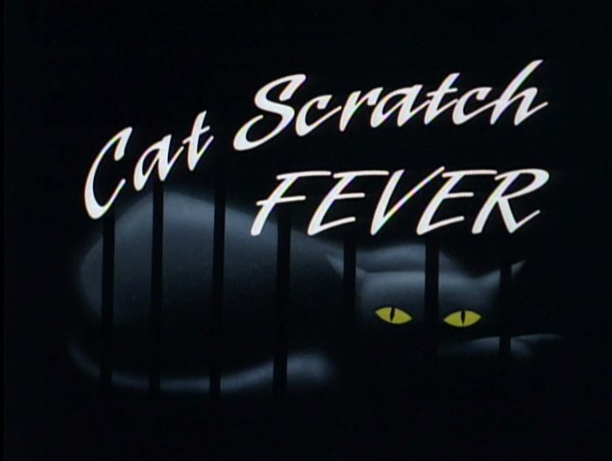 "Cat Scratch Fever"