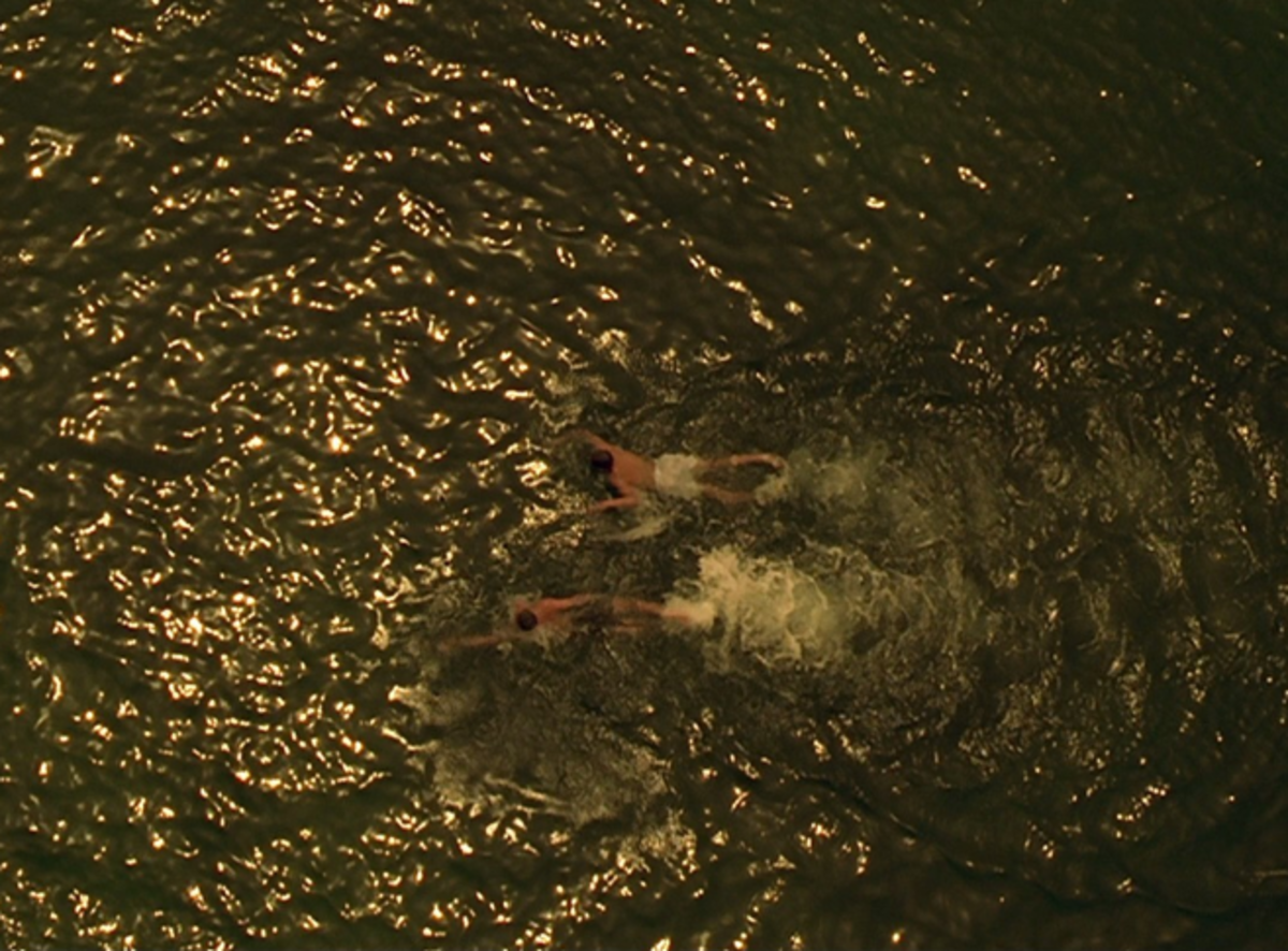 The swimming scene in "Gattaca" is thematically symbolic.