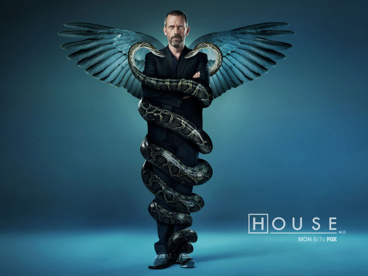 house-md-show-analysis