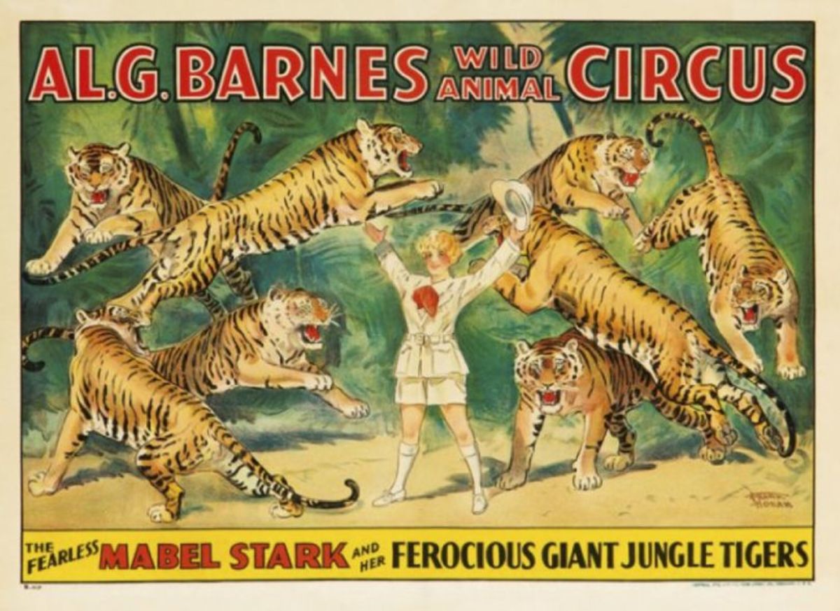 This documentary brings us closer to the life and legend of Mabel Stark and her 57-year career raising and training “stripes,” as she affectionately called her tigers.
