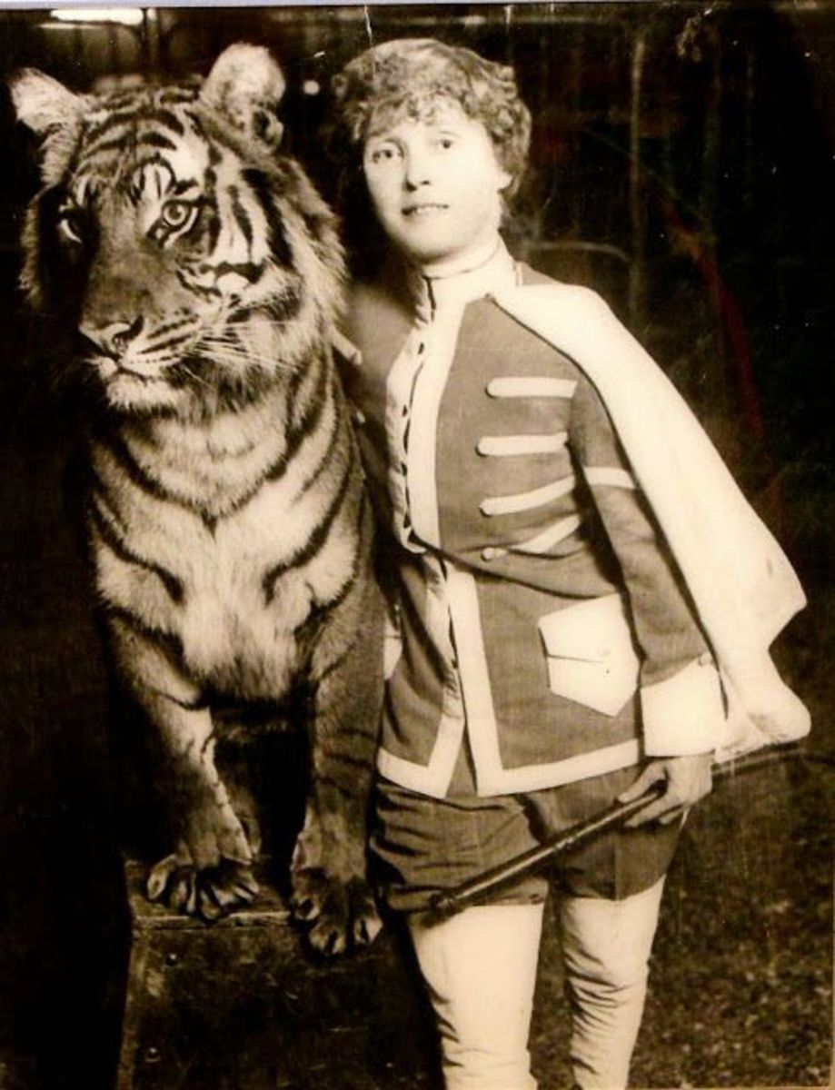 Why Circus Fans and Historians Should See Mabel