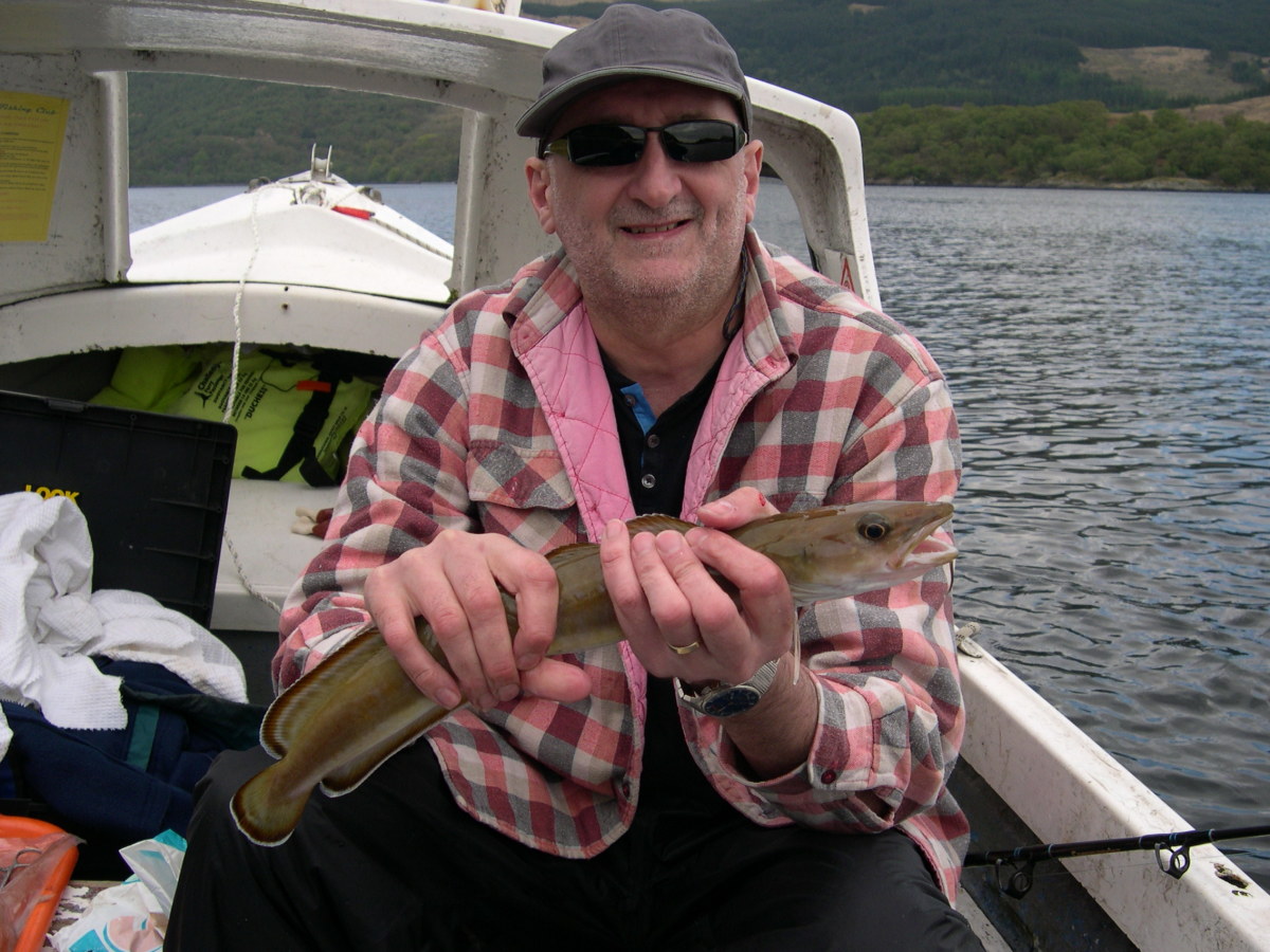 Small Ling caught at the Quarry on Loch Etive