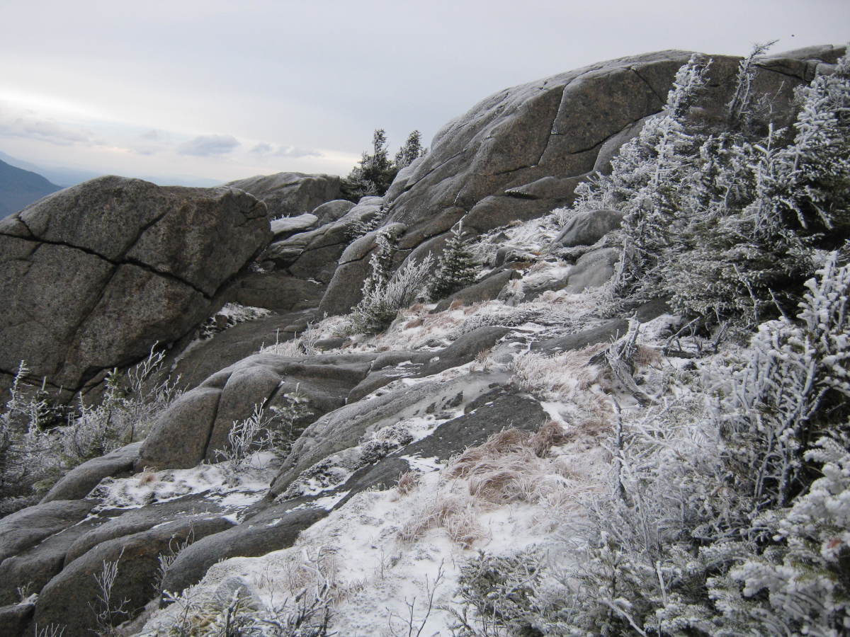 Finally, after pushing though the trees you begin to reach the rocky summit. 