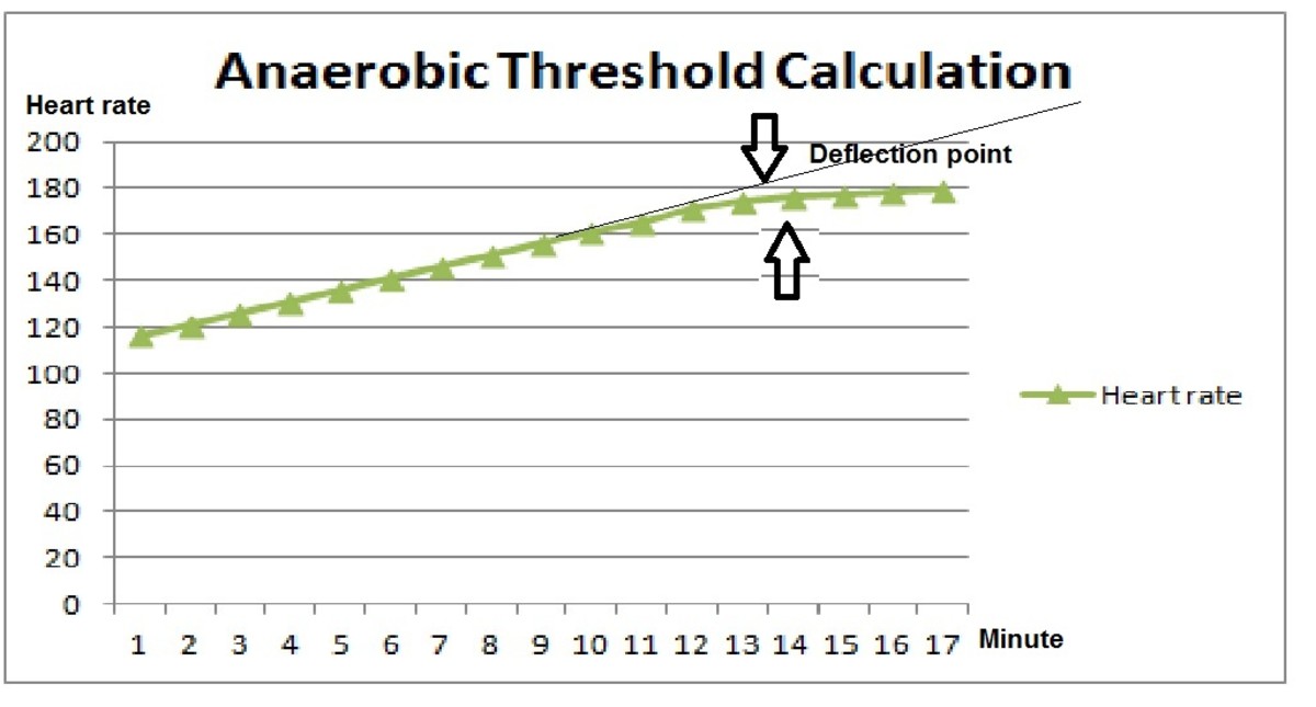 Notice the deflection after the 11 minute mark- this denotes that the anaerobic threshold has been reached