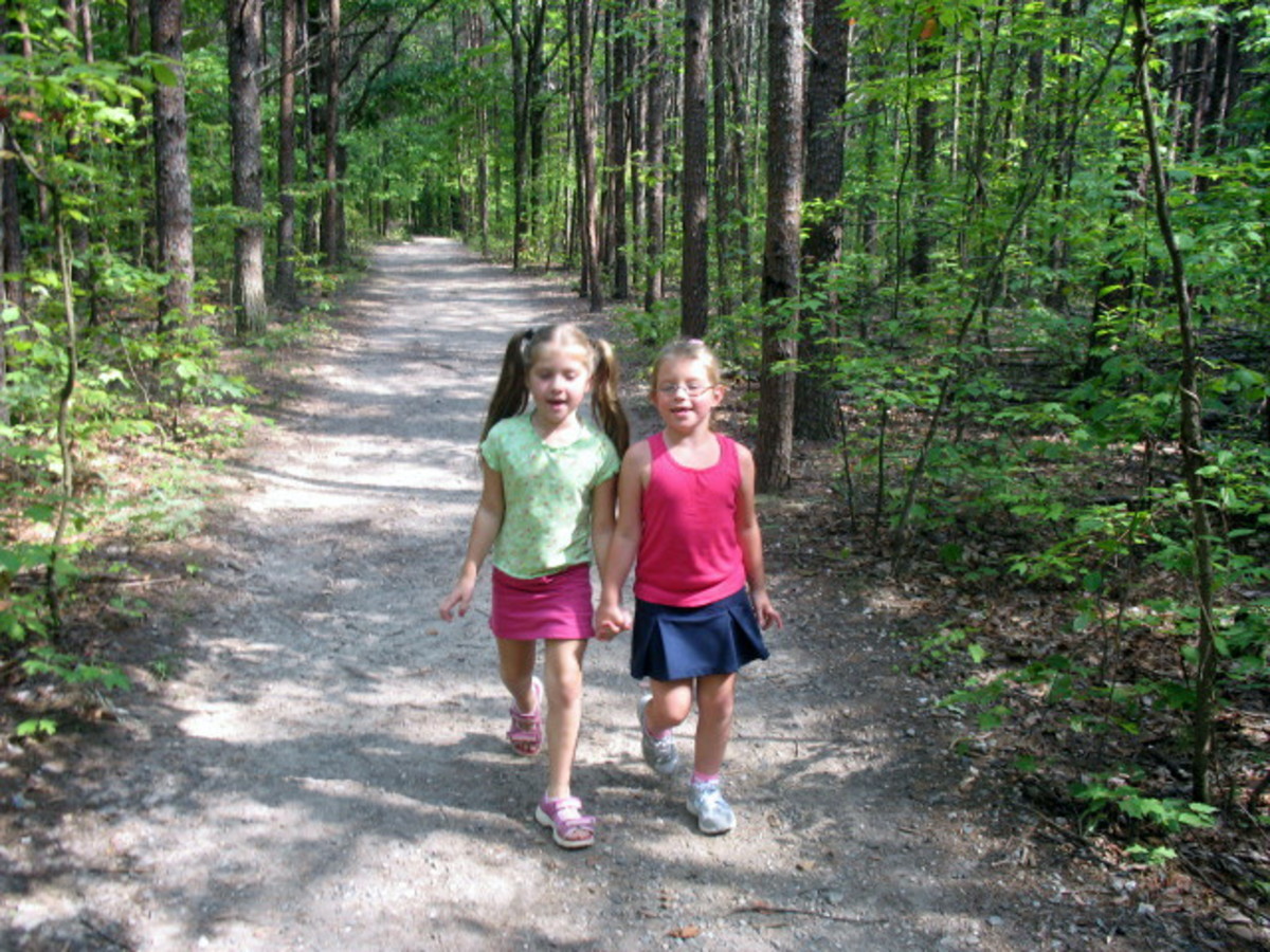 Hiking Tips for Beginners and the Out of Shape Strategies for Success on Every Mountain