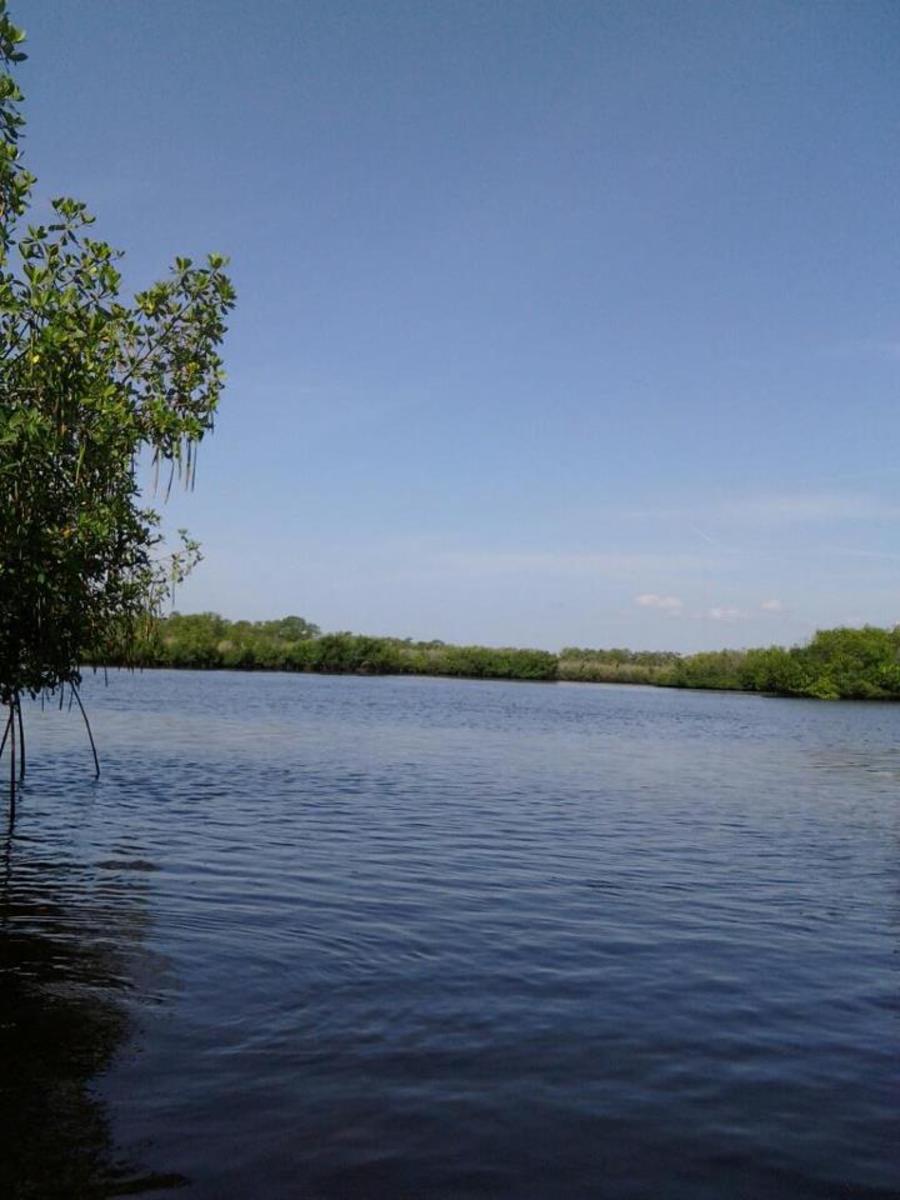Kayaking Adventure in Upper Tampa Bay SkyAboveUs