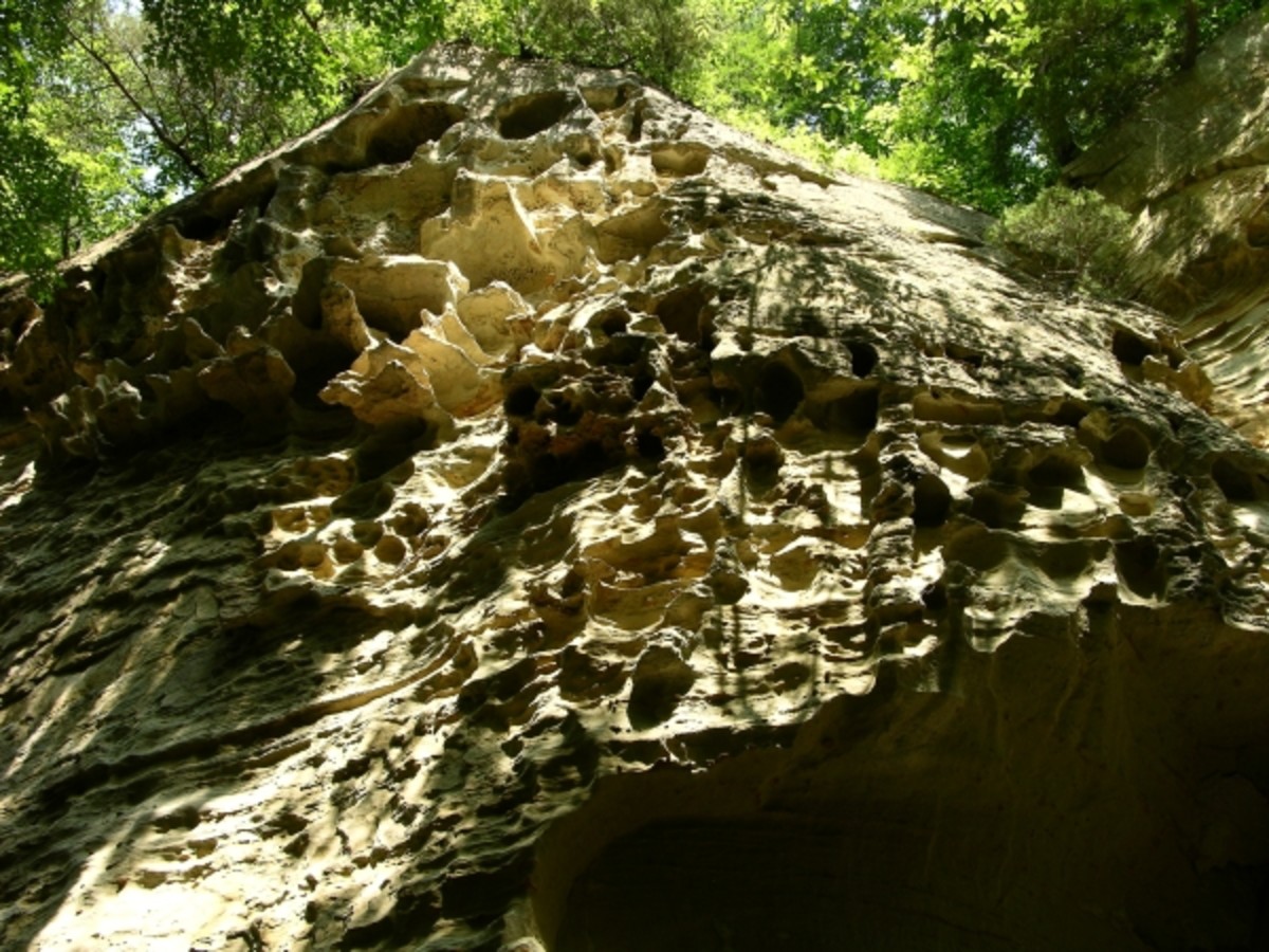 Honeycomb Rock in Pine Hills Nature Reserve