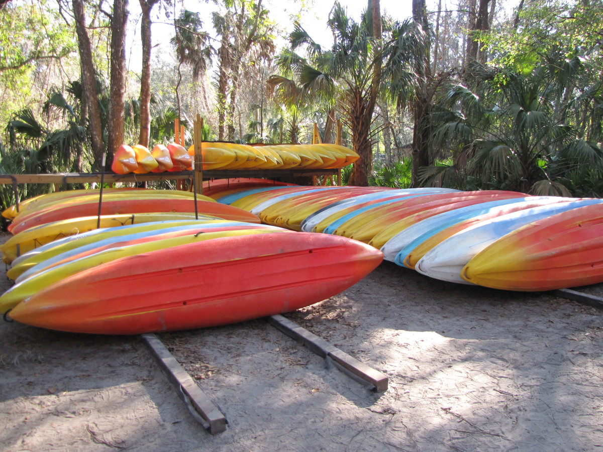 kayaking-weeki-wachee-river