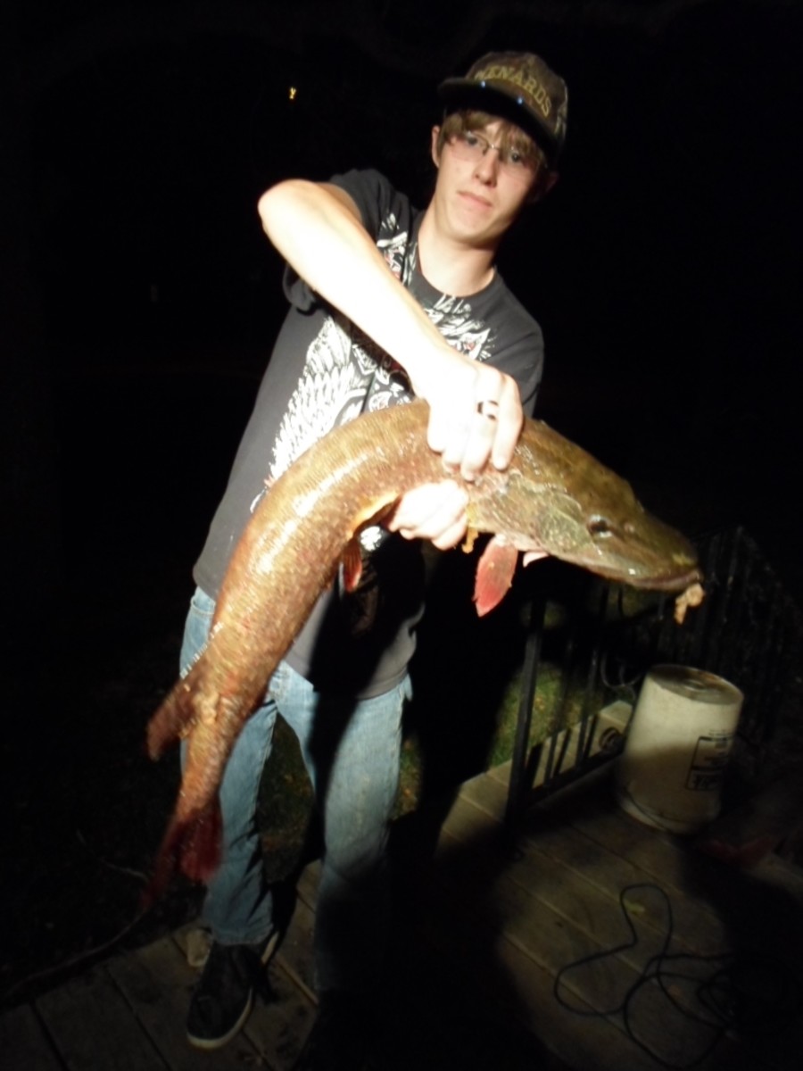 My nephew holds the 10 pound northern pike he caught on the McClusky Canal north of Highway 200.