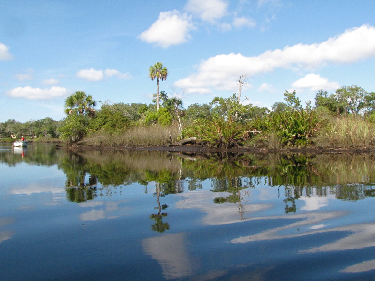 Kayaking the Cotee River in New Port Richey, Florida SkyAboveUs